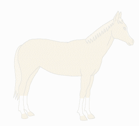 null_adopts_a_horse.gif