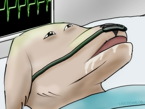null_dying.jpg