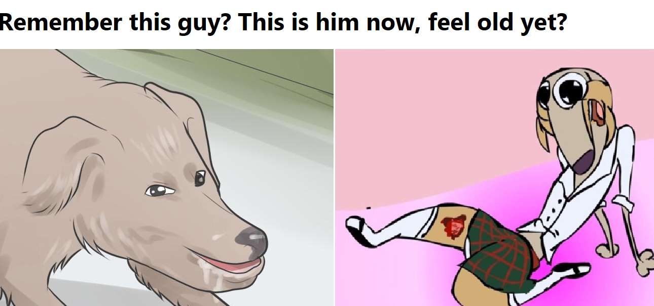 null_now.png
