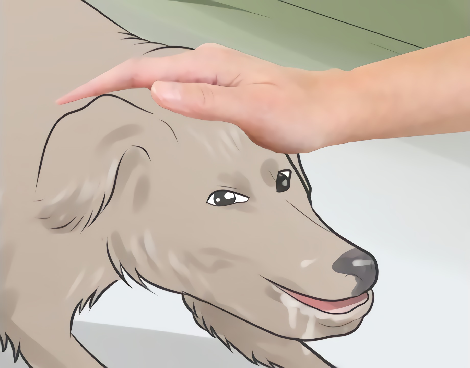 null_pats.jpg