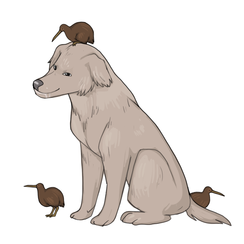 nullandkiwis.png