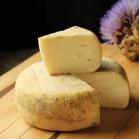 nullcheese.webp
