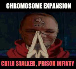 NVpic.png