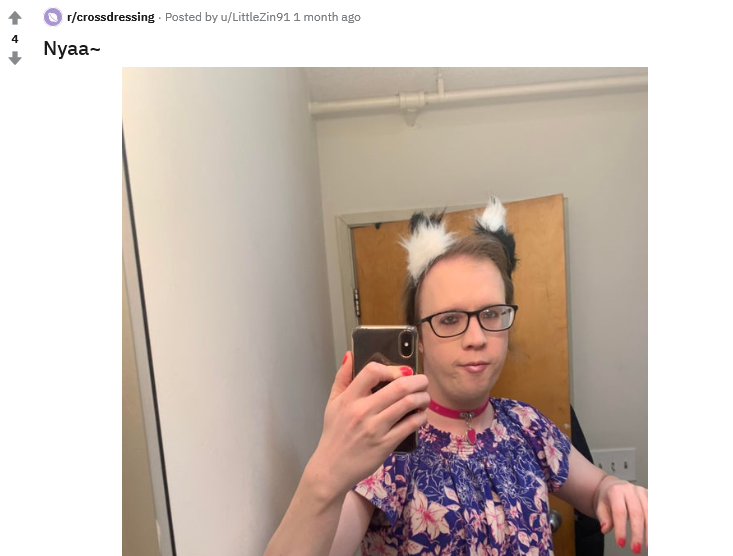 nyaa.png