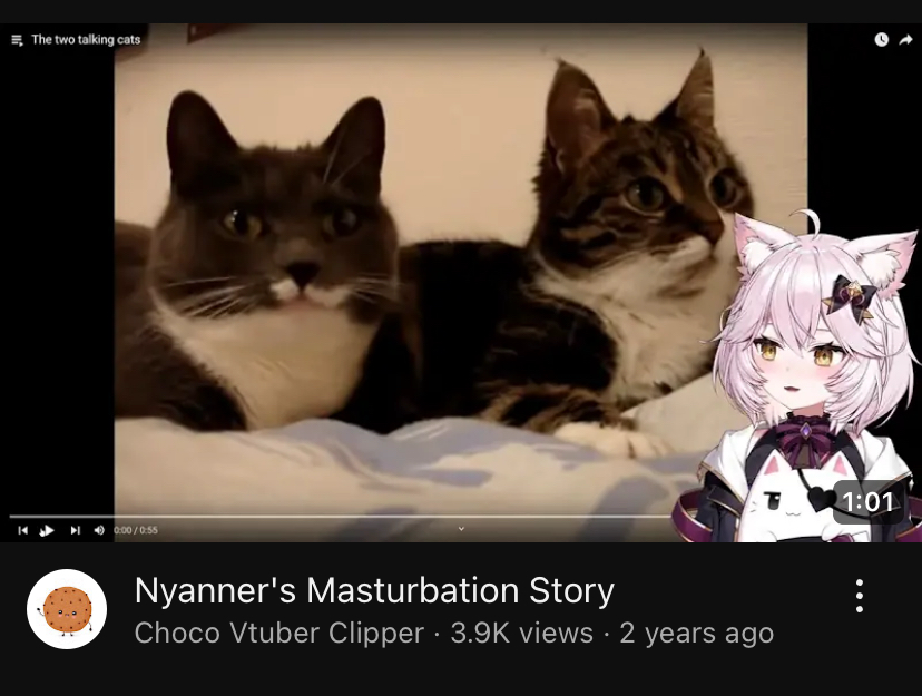nyanners_video.png