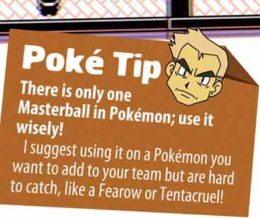 oaktip1.jpg