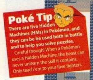 oaktip3.png