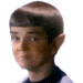 oC48LNp.gif