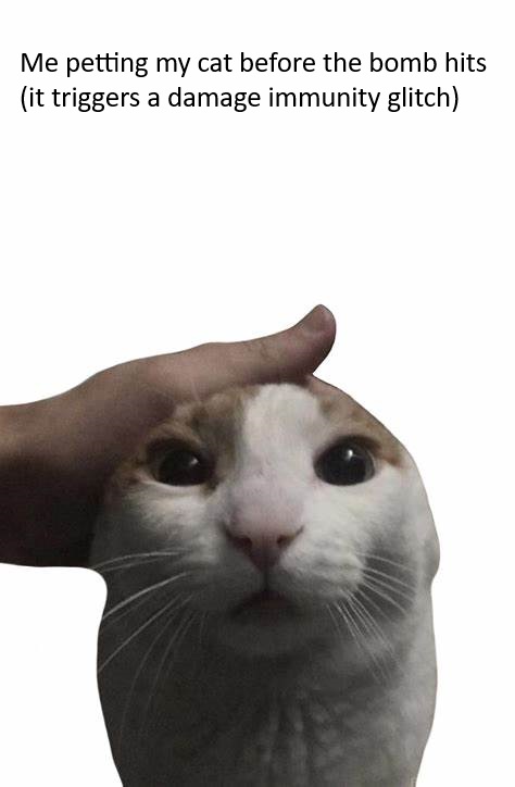 OIP.jpg