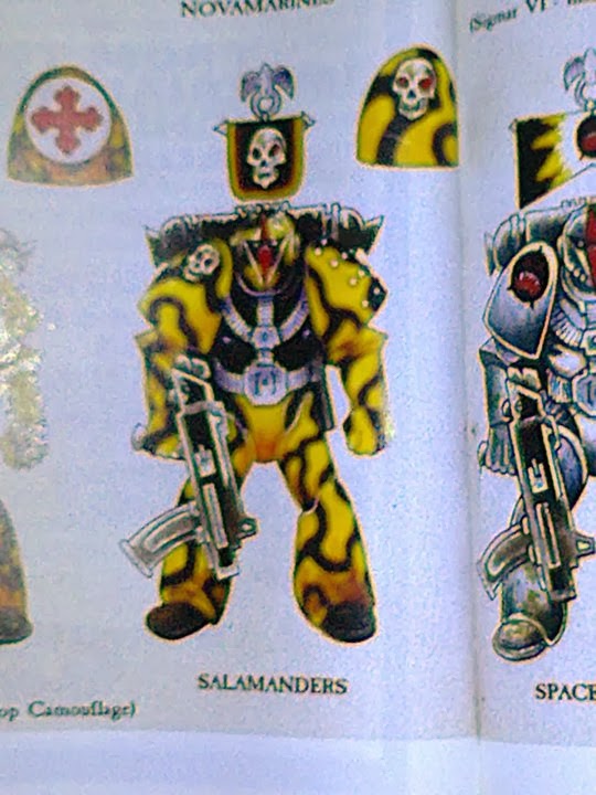 Old Salamanders.jpeg