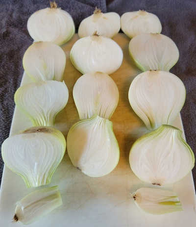Onion halves.jpg