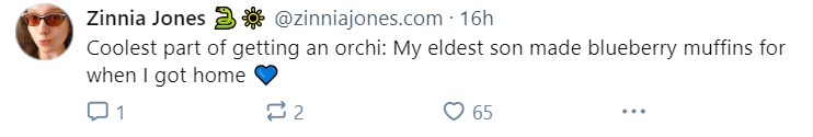 orchi.jpg