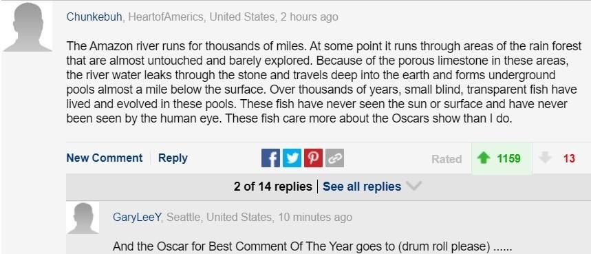 Oscars dgaf.jpg