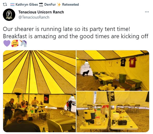 othertweet.png