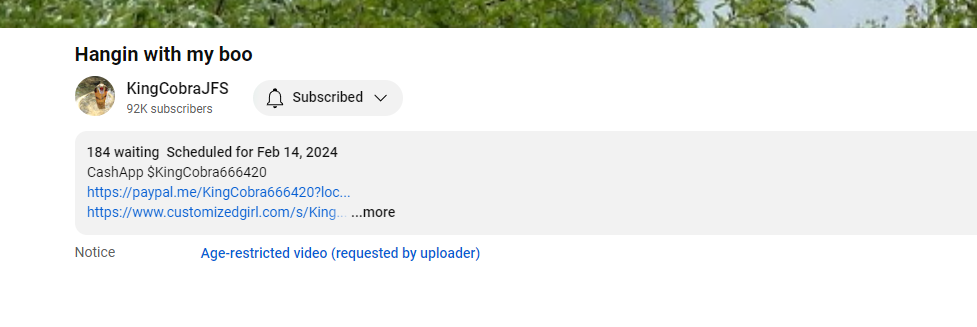 othervideo.png