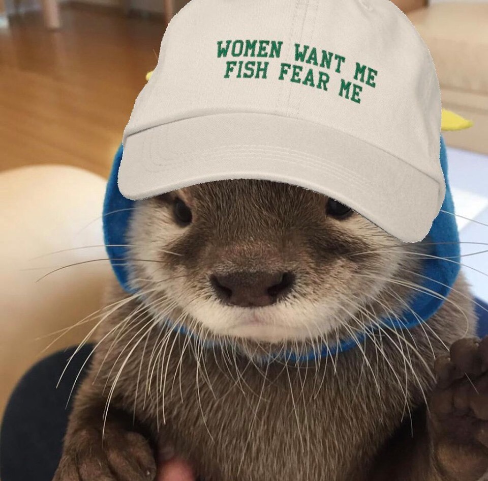 otter hat.jpg