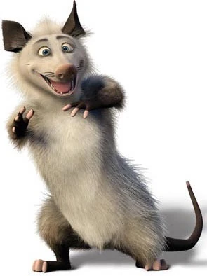 Ozzie_webp.png