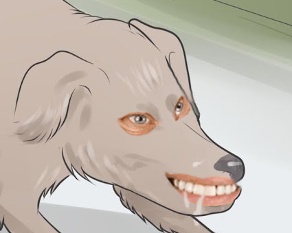 pain grimace.png