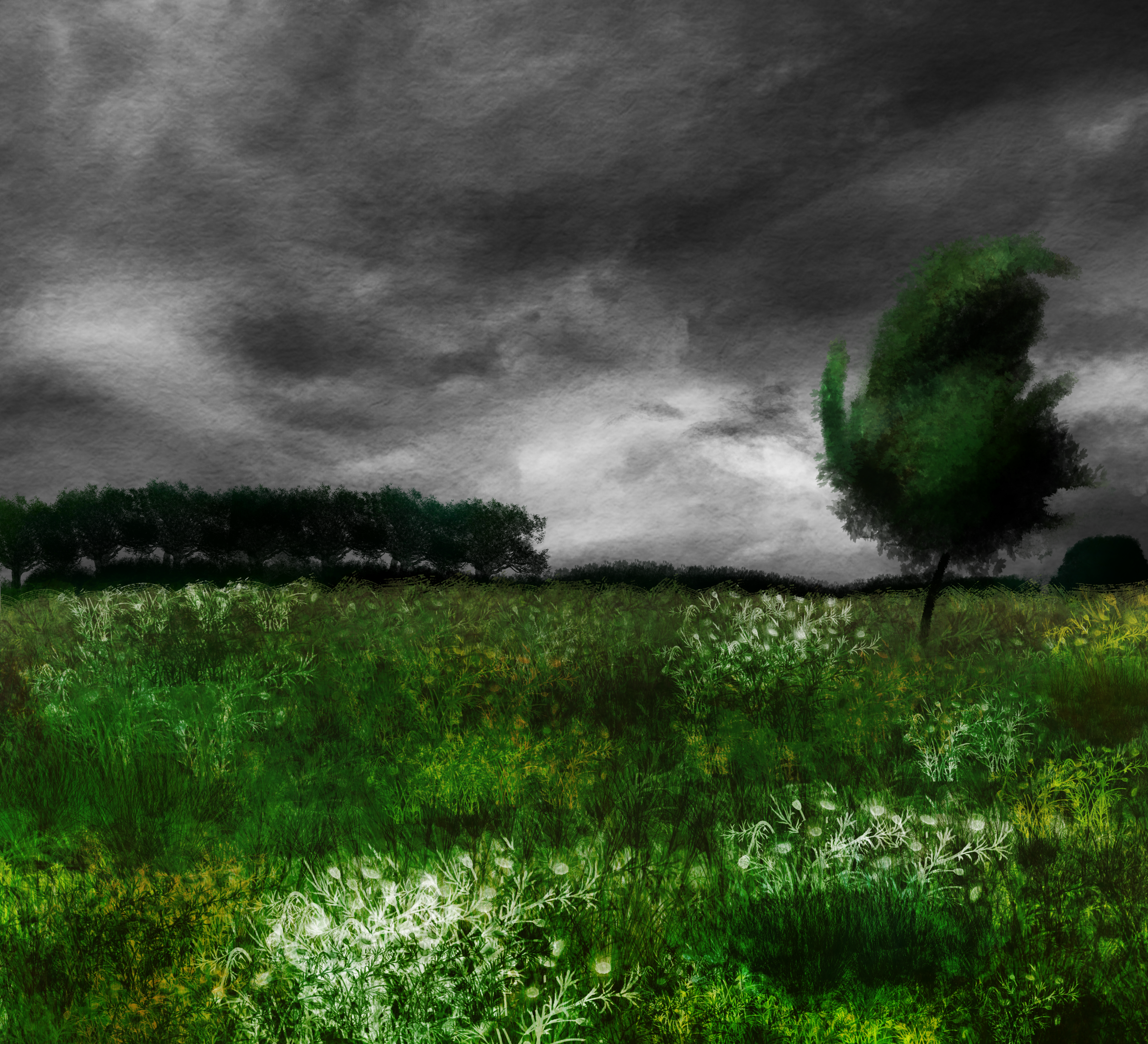 paint.png