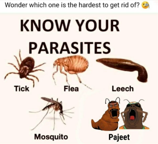 Pajeet42.png