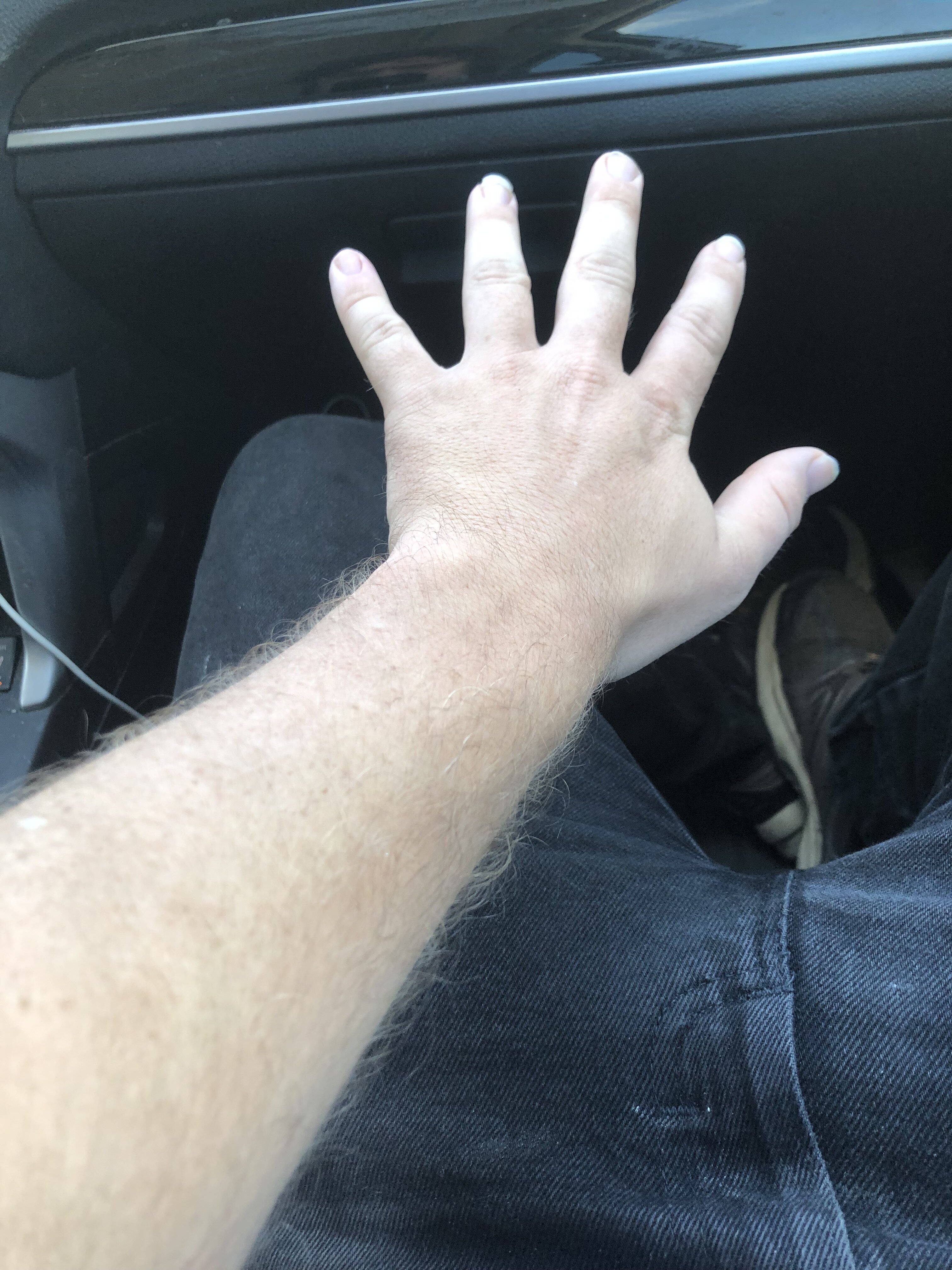 pajeetcantdrive.jpeg