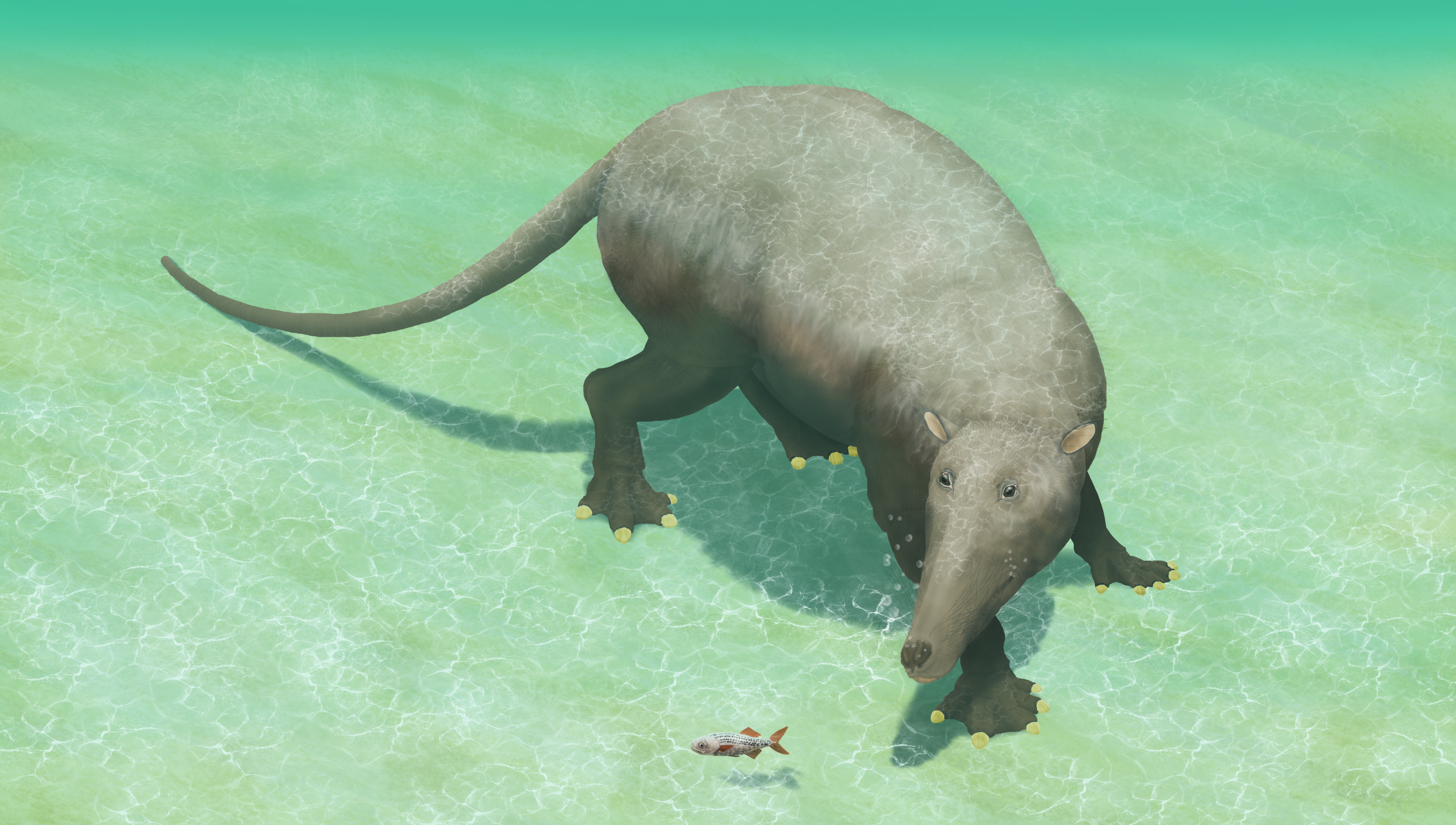 pakicetus.png