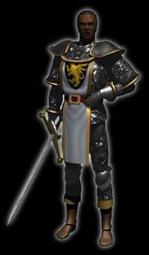 paladin.jpg
