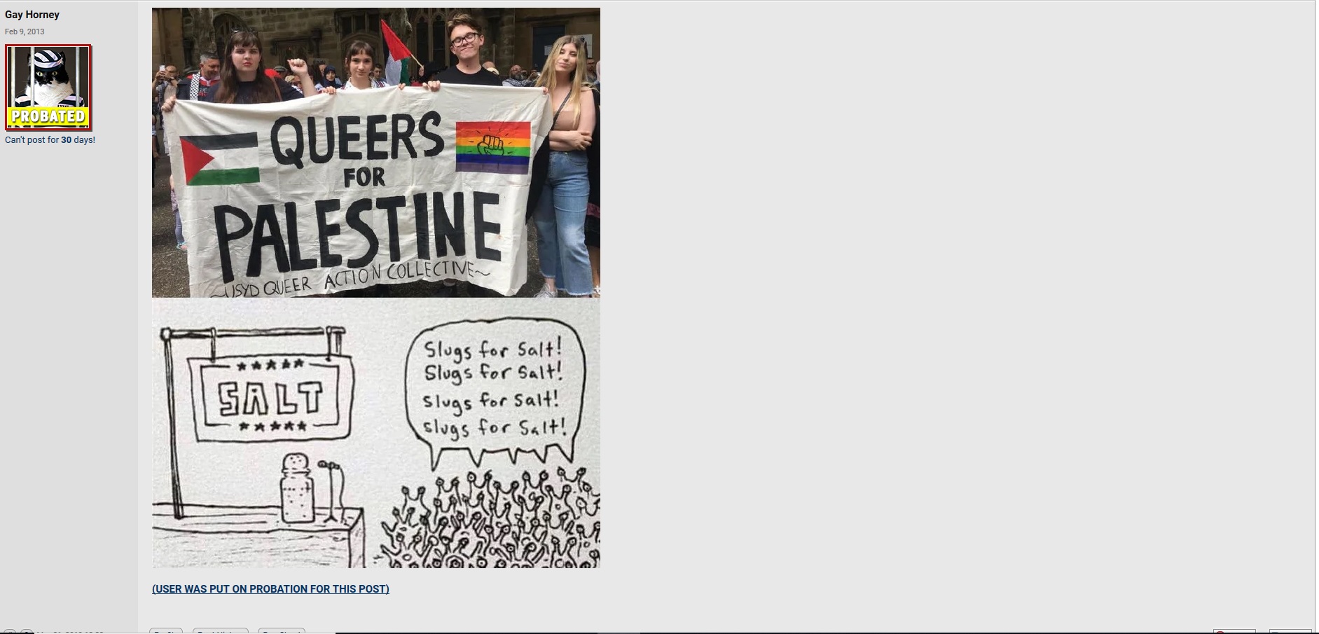 Palistine.jpg