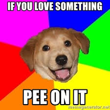 pee.jpg