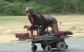 Pegging rig.gif