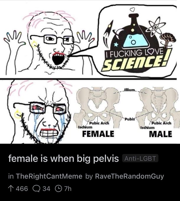 PELVIS.jPG