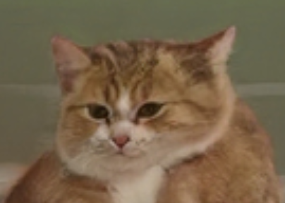 pembap.PNG