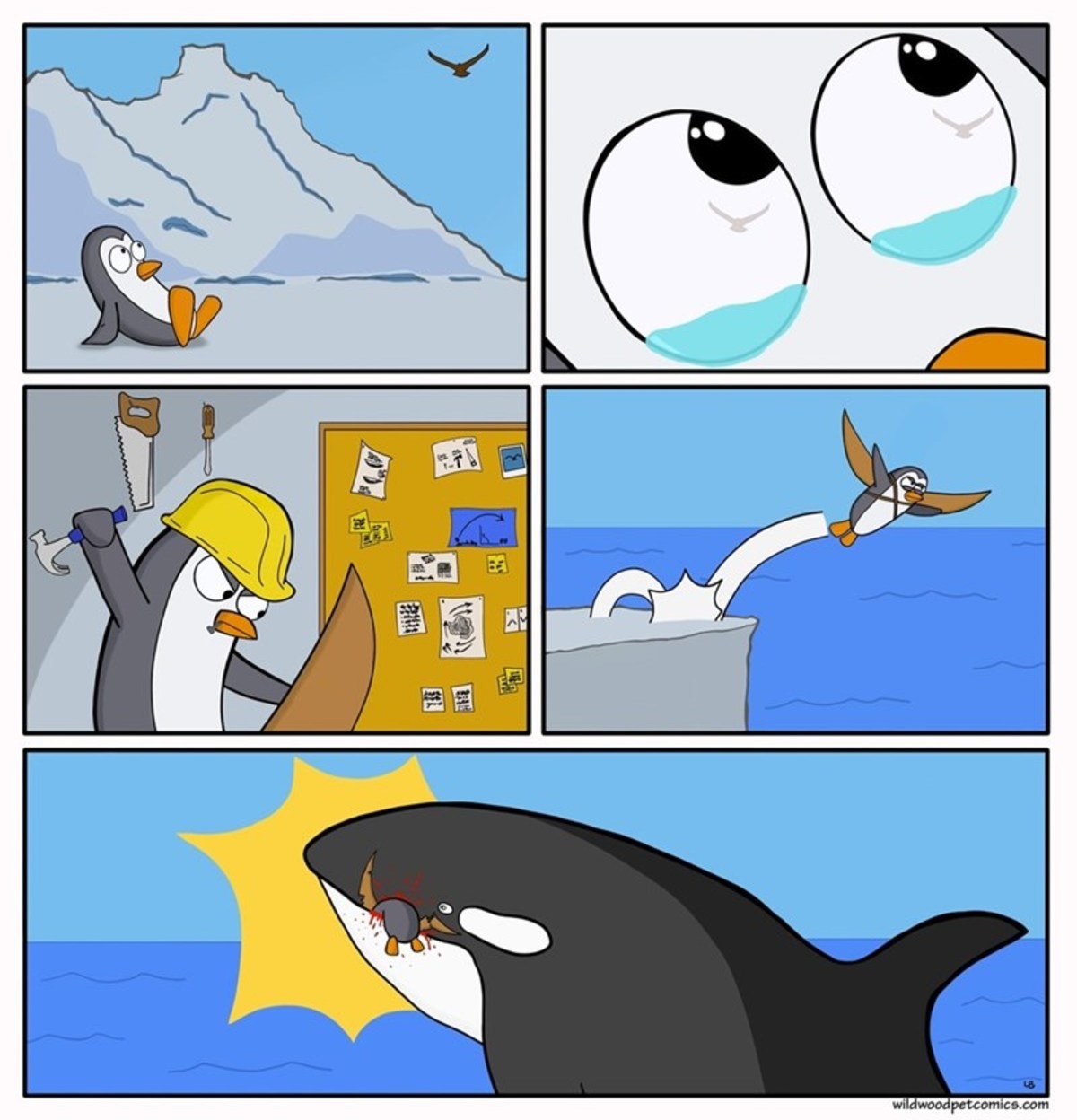 penguin.jpg