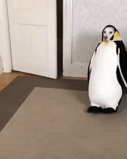 penguindog.gif