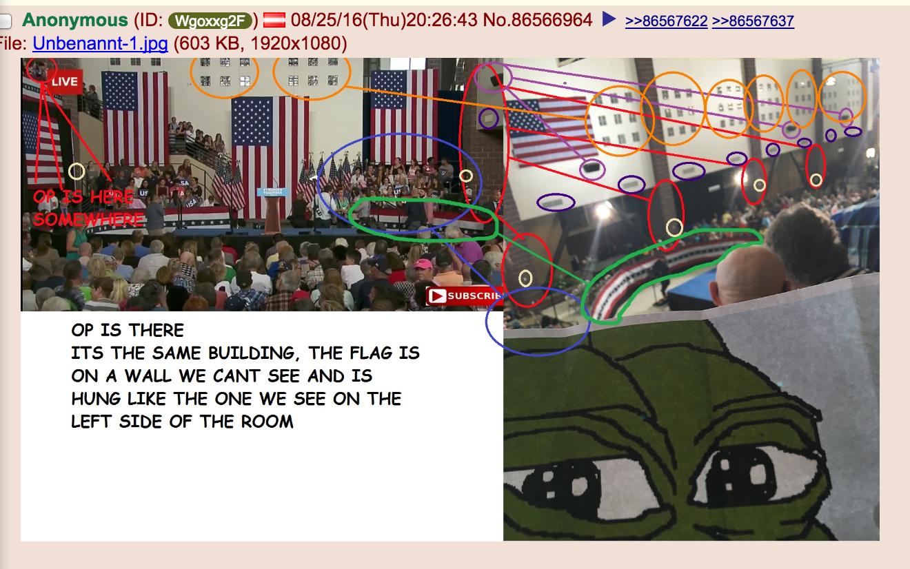 pepe3.jpg