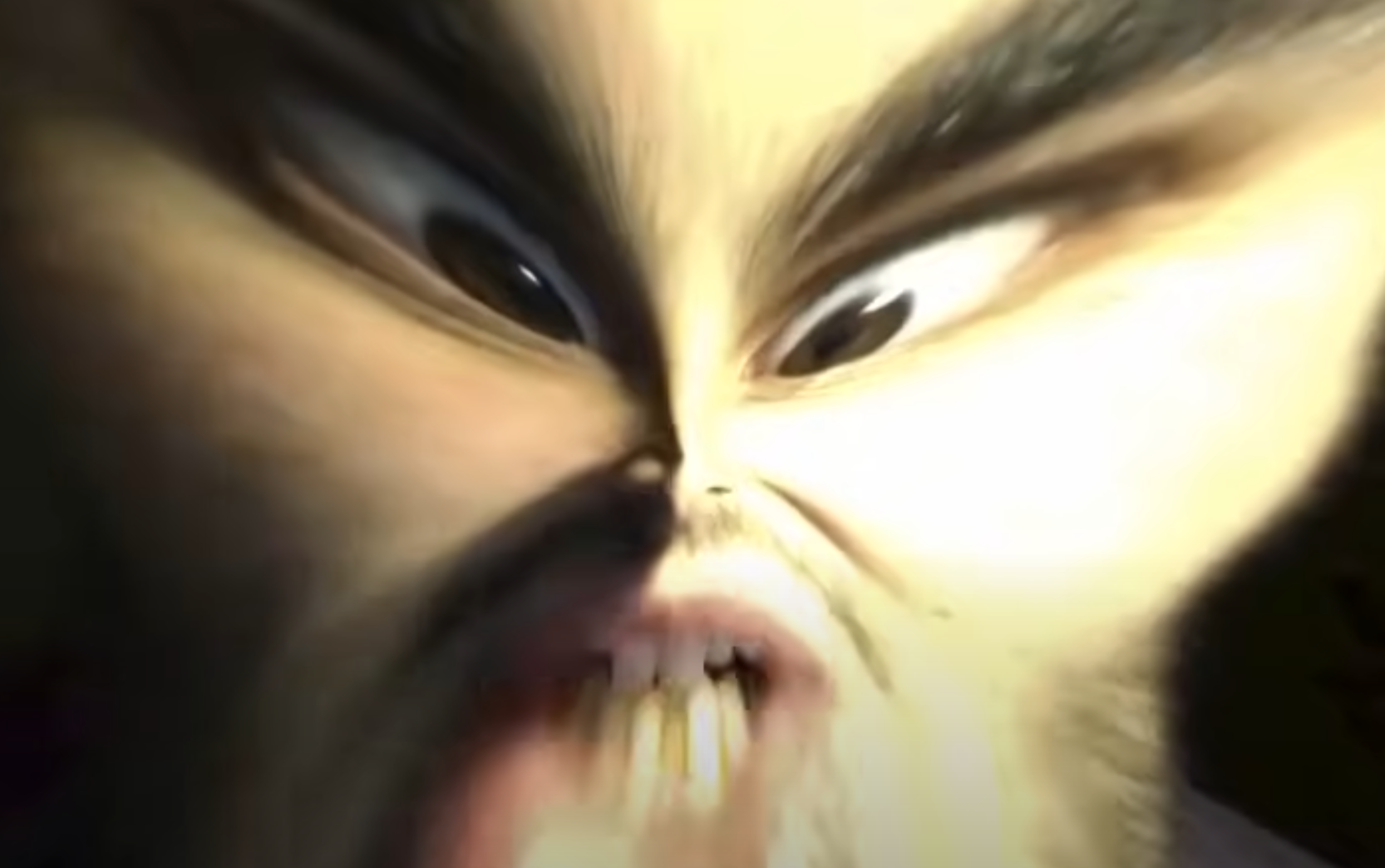 perfect world.PNG