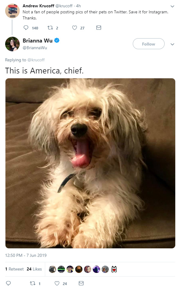pet.jpg