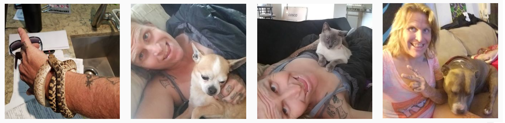 pet1.png