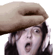 petpatkeffalpog.gif