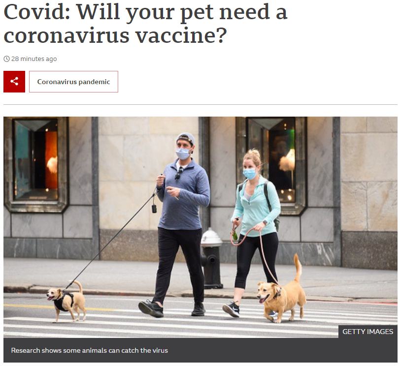 pets.png
