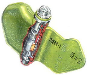 pfm-1-2.png
