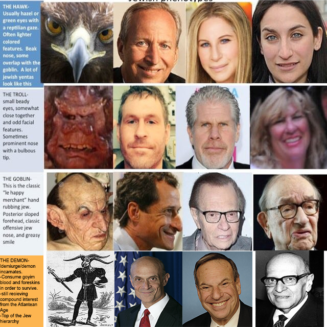 phenotype updated.png