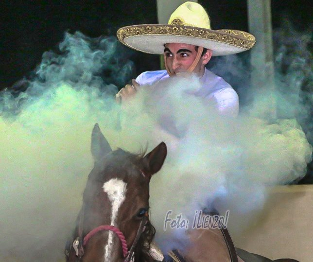 Piales.png