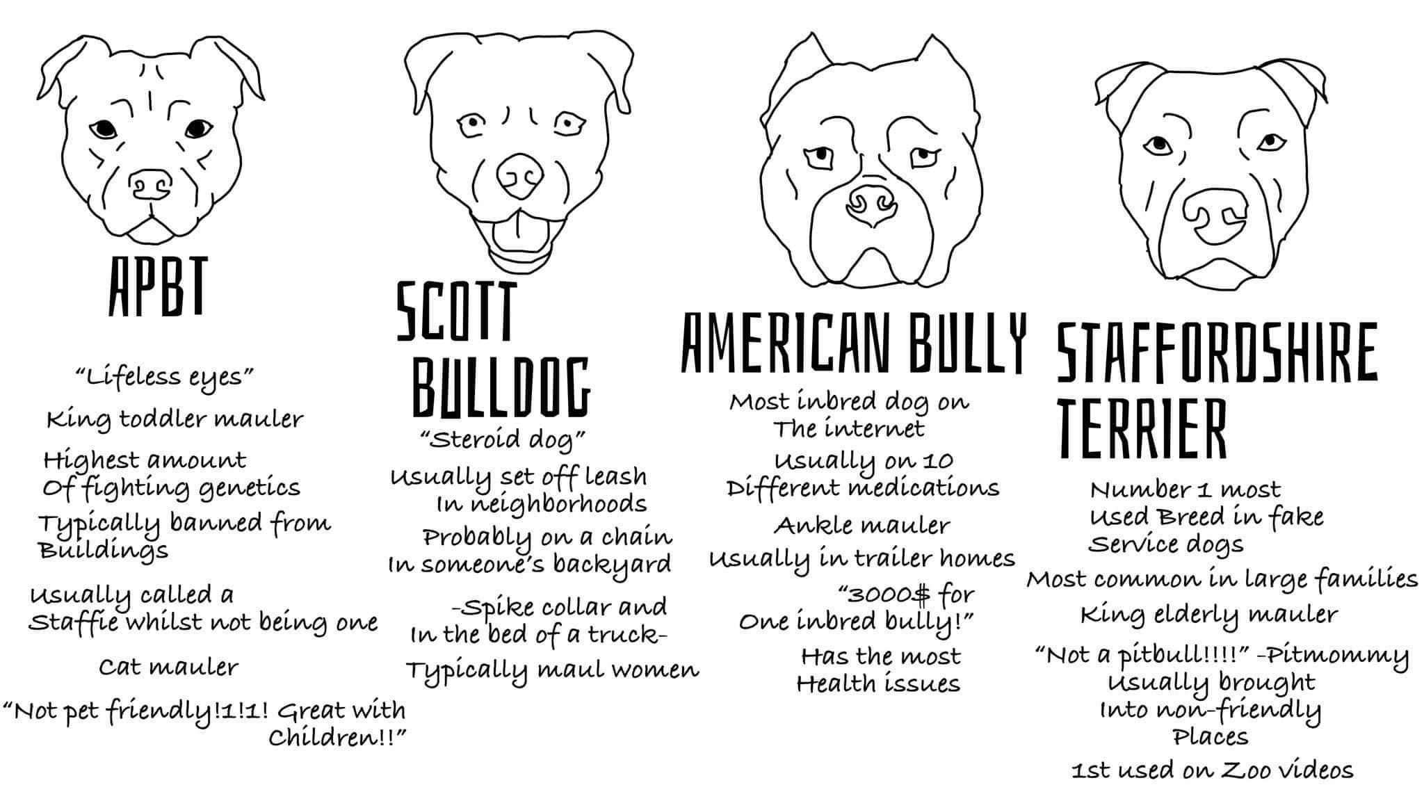 pibbie-chart.jpeg