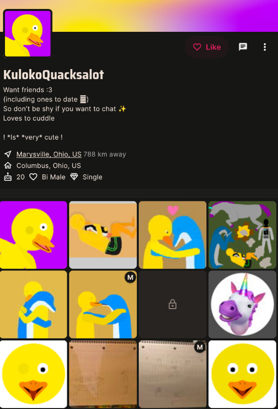 picasso1.jpg