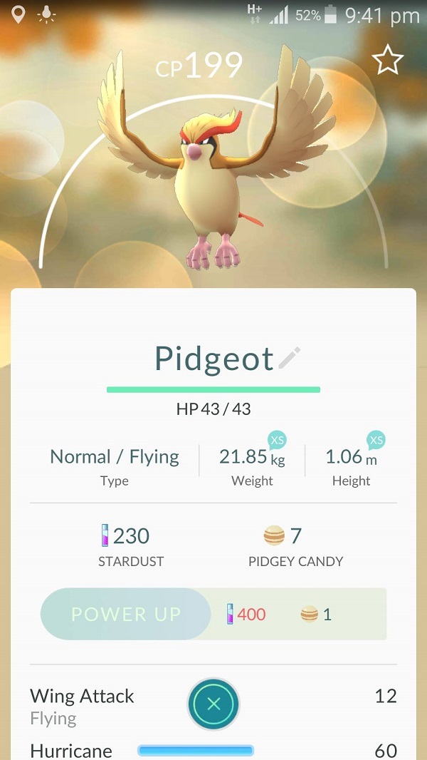 pidgeot.jpg