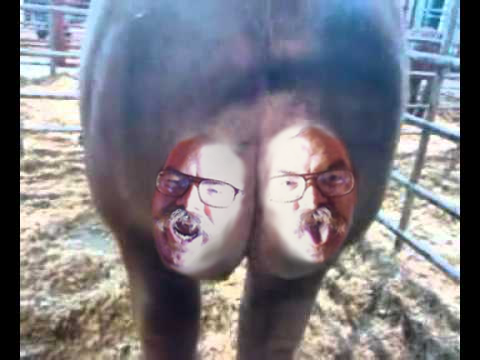 Pig face jon.png