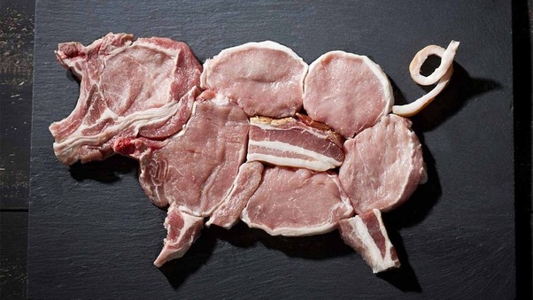 pig.jpg