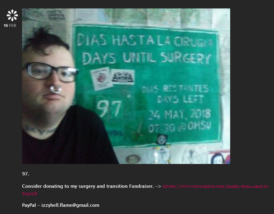 pig.png