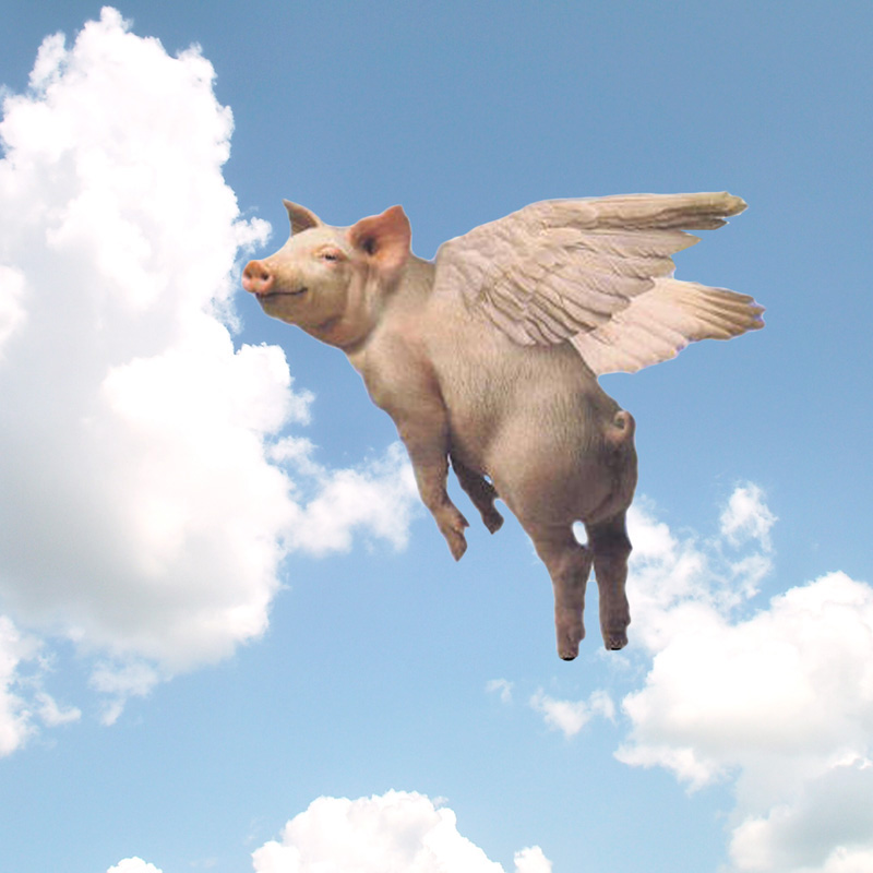 PigsFly2.jpg